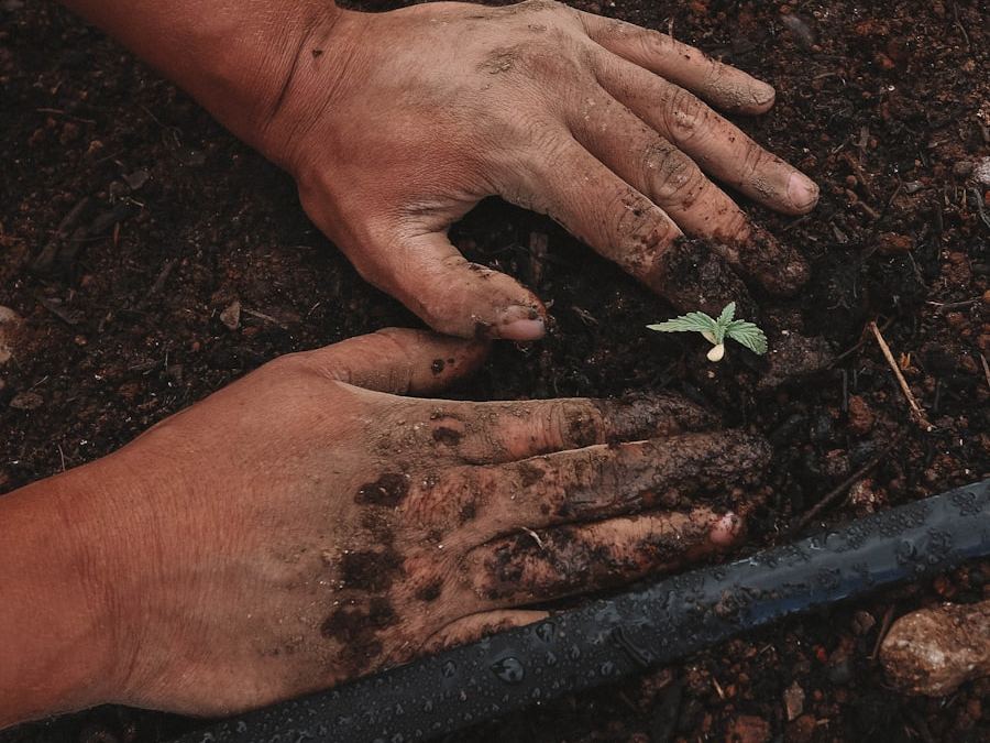 Landscaper maintaining a lawn and garden bed in Lorain, Ohio